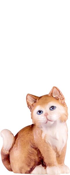 Katze Artis braun Katze Artis braun