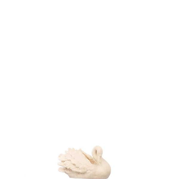 Schwan Schwan