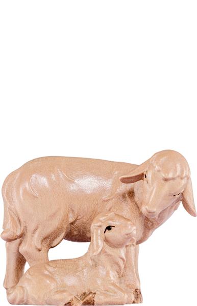 Schafgruppe Artis Schafgruppe Artis