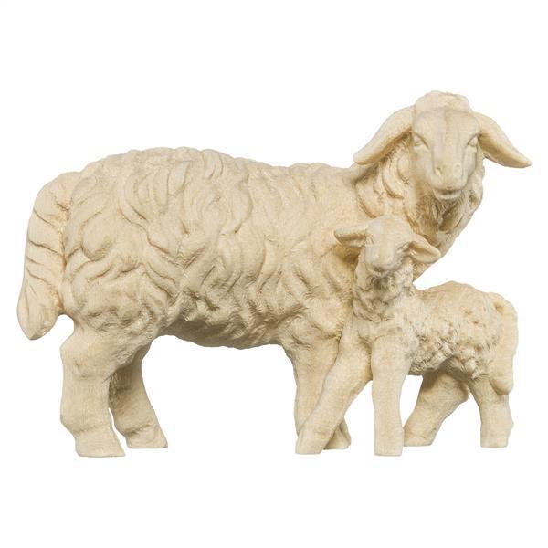 Schaf mit Lamm stehend