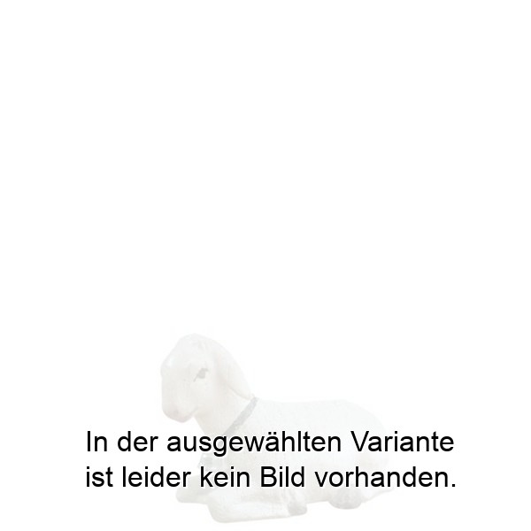 Schaf liegend Schaf liegend