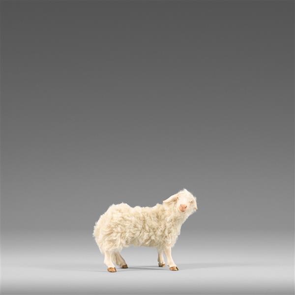 Schaf seitlich schauend mit Wolle beige Schaf seitlich schauend mit Wolle beige