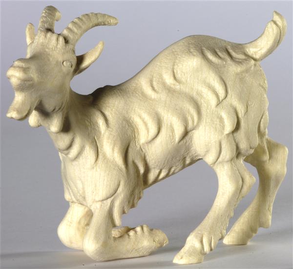 Ziege kniend Ziege kniend