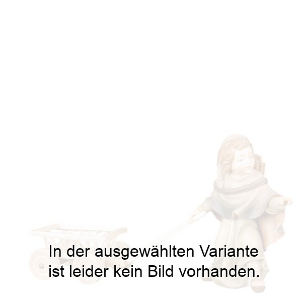 Hirtenjunge mit Karren Hirtenjunge mit Karren