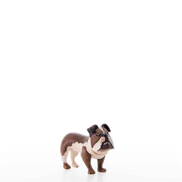 Buldogge