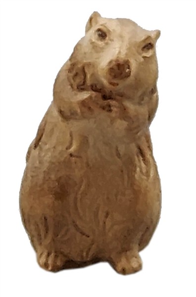 Murmeltier stehend