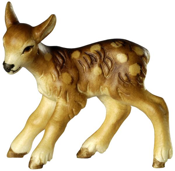 Rehkitz - Kopf nach links Rehkitz - Kopf nach links