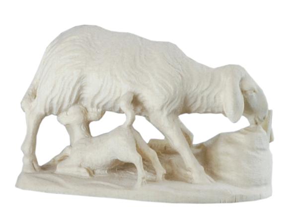 Schaf mit Lamm Schaf mit Lamm