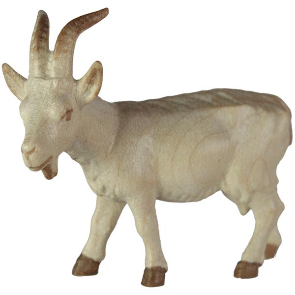 Ziege