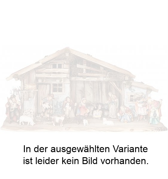 Weihnachtskrippe Seiser Alm mit 17 Betlehem Figuren