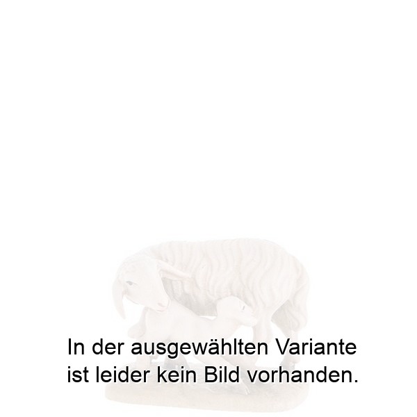 Schaf mit Lamm Schaf mit Lamm