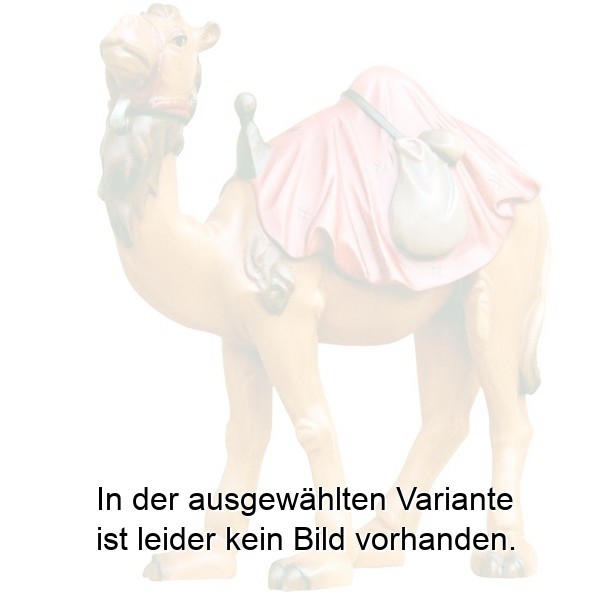 Kamel