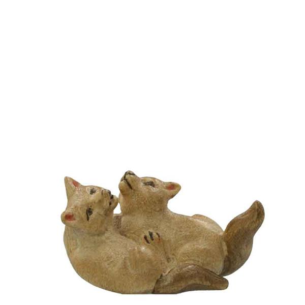 Fuchswelpenpaar spielend Fuchswelpenpaar spielend