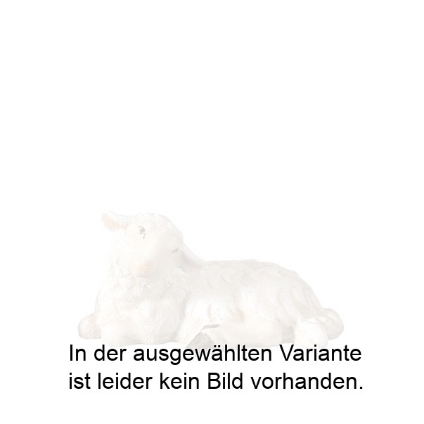 Schaf liegend