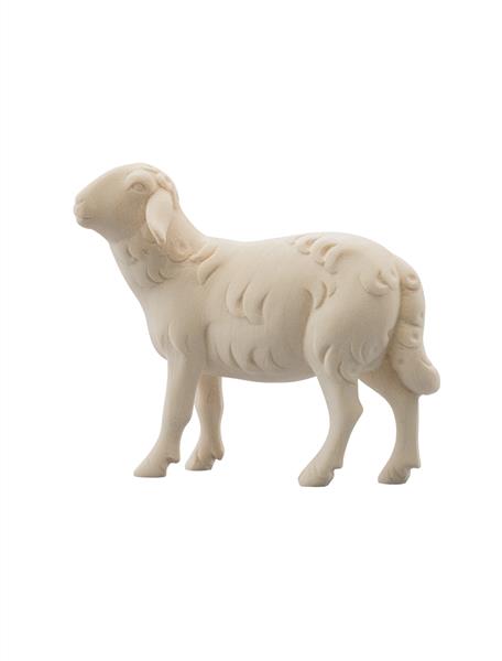 LI Schaf linksschauend LI Schaf linksschauend