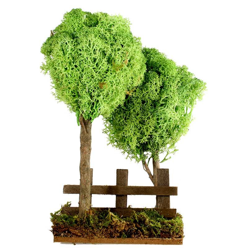 2 Flechtenbäume mit Zaun 2 Flechtenbäume mit Zaun