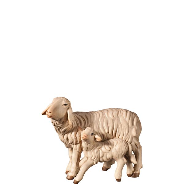 Schaf und Lamm stehend