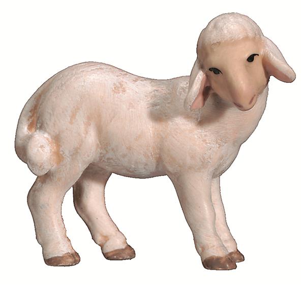 Lamm stehend