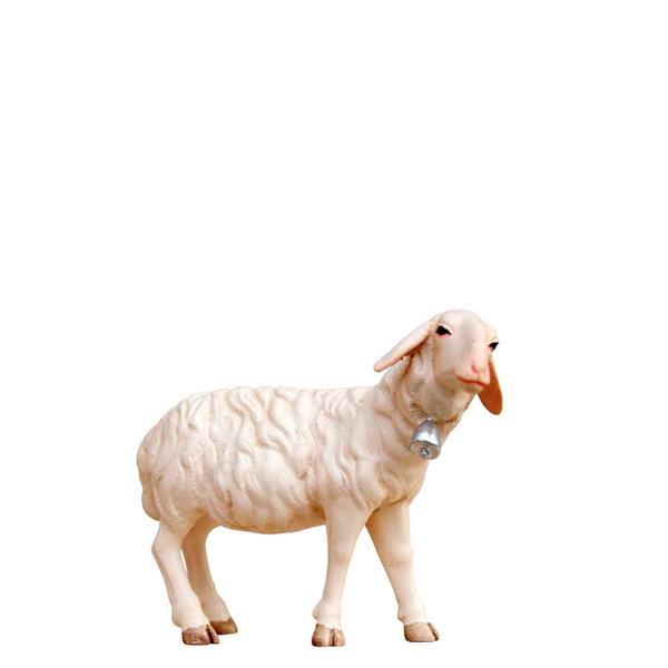 Schaf mit Glocke Orient
