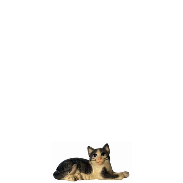 Katze liegend schwarz-weiß