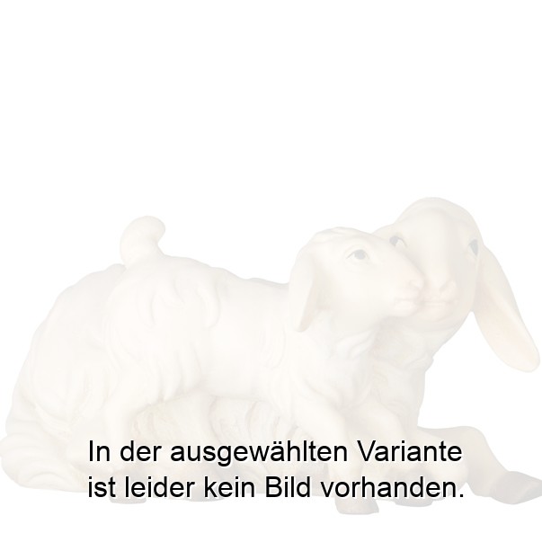 Schaf liegend mit Lamm Schaf liegend mit Lamm