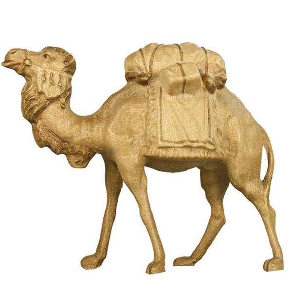 Kamel beladen Kamel beladen