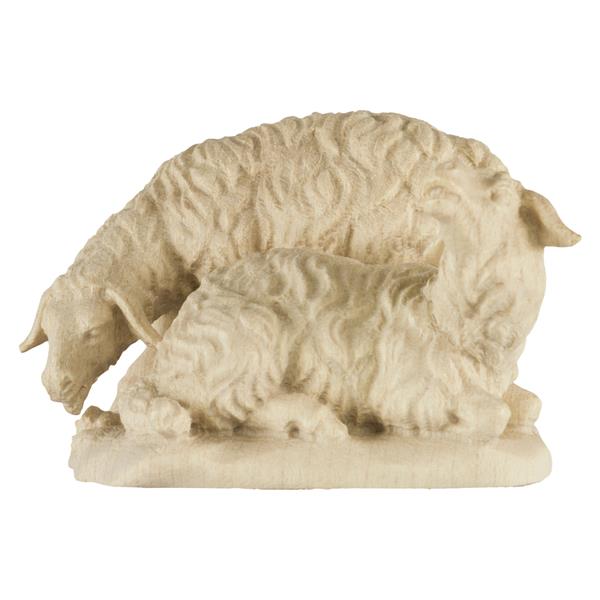 Schafgruppe Schafgruppe