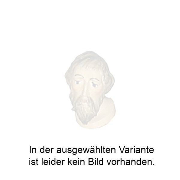 Kopf mit Bart und Schnauzer Kopf mit Bart und Schnauzer