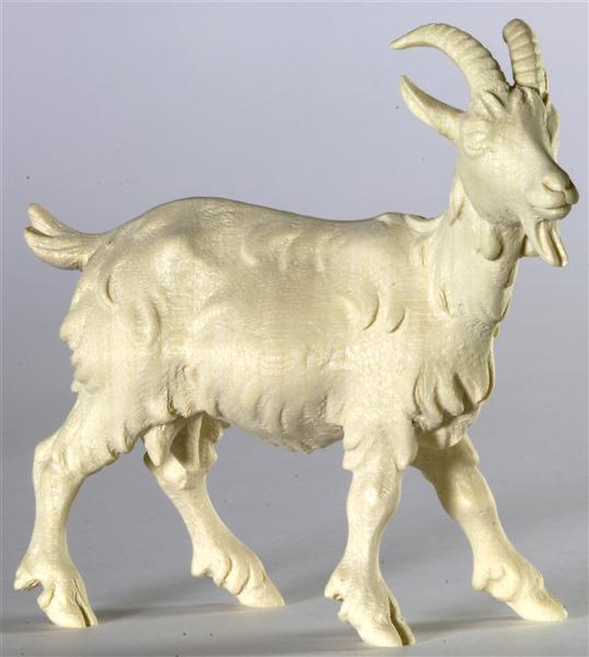 Ziege Kopf nach rechts Ziege Kopf nach rechts