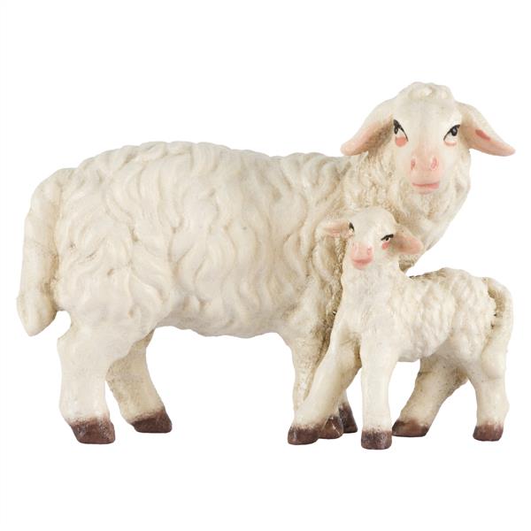 Schaf stehend mit Lamm Schaf stehend mit Lamm