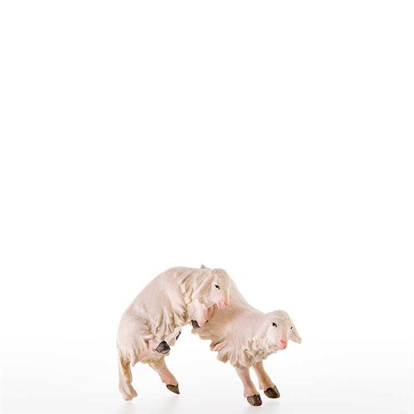 Lämmer vor Freude hüpfend
