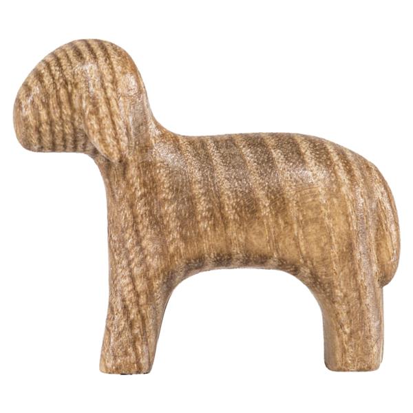 Schwarzes Schaf schauend