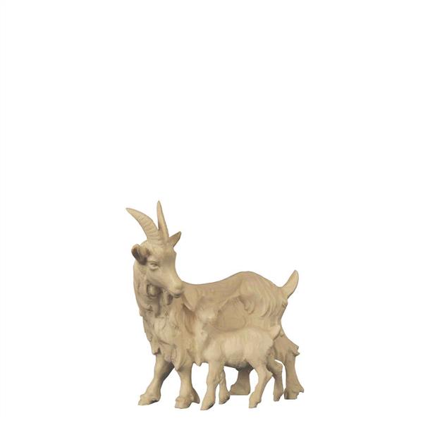 Ziege mit Kitz Ziege mit Kitz
