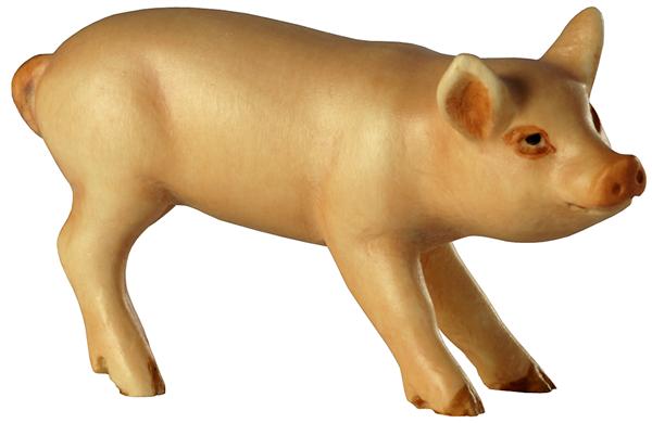 Ferkel Kopf rechts Ferkel Kopf rechts