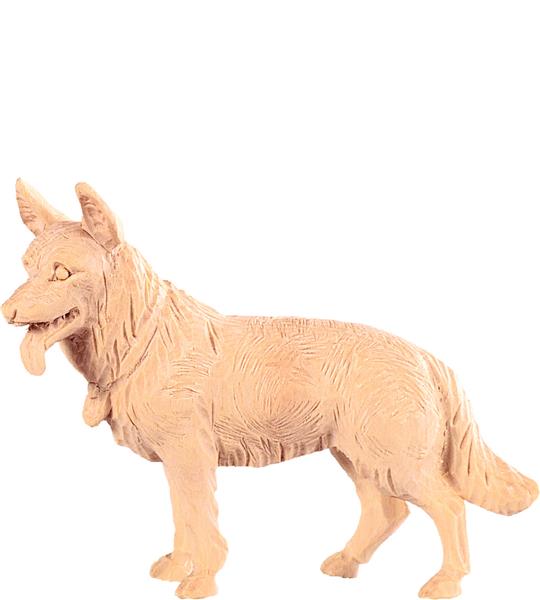 Schäferhund Schäferhund