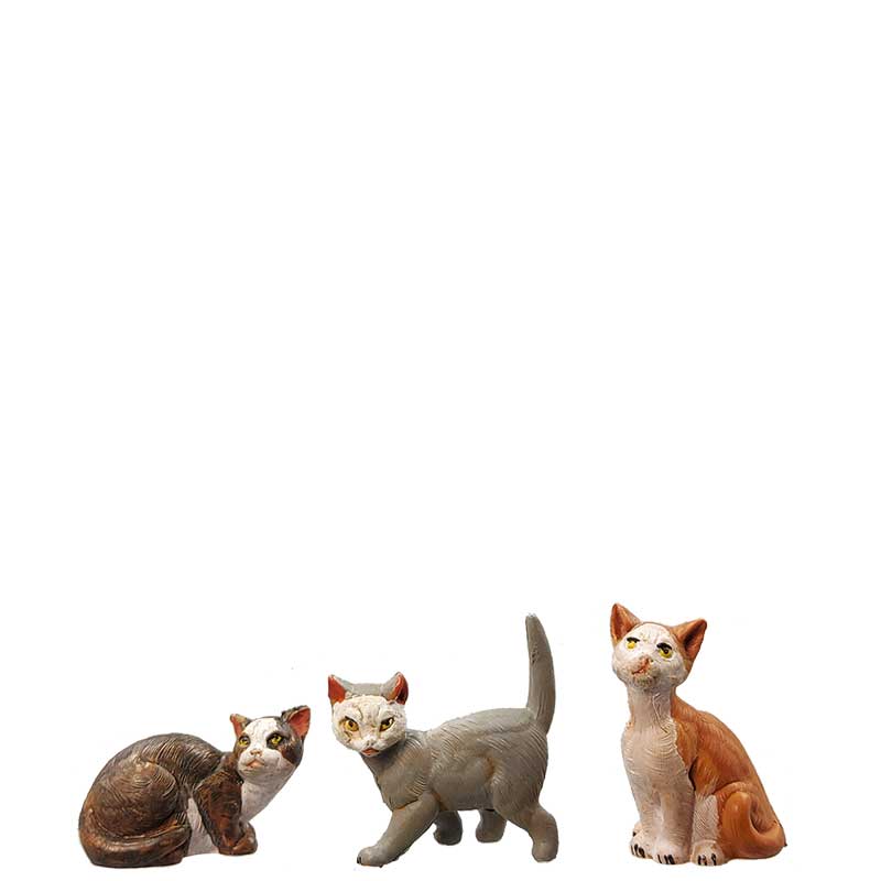Katzen 3-teilig