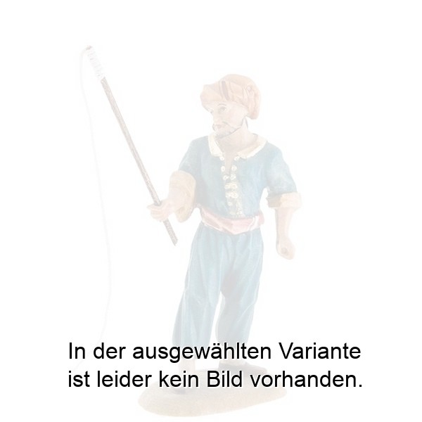 Kameltreiber mit Peitsche Kameltreiber mit Peitsche