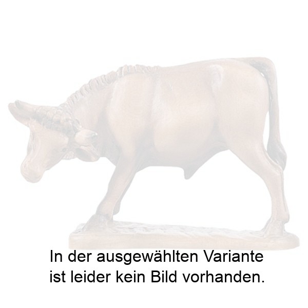Ochs stehend