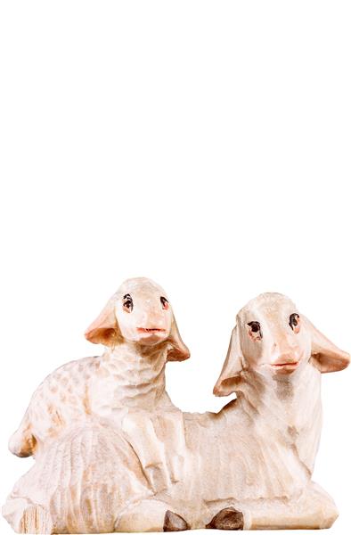 Schafgruppe liegend Schafgruppe liegend