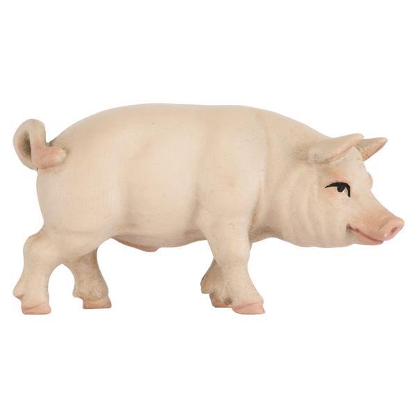 Schwein