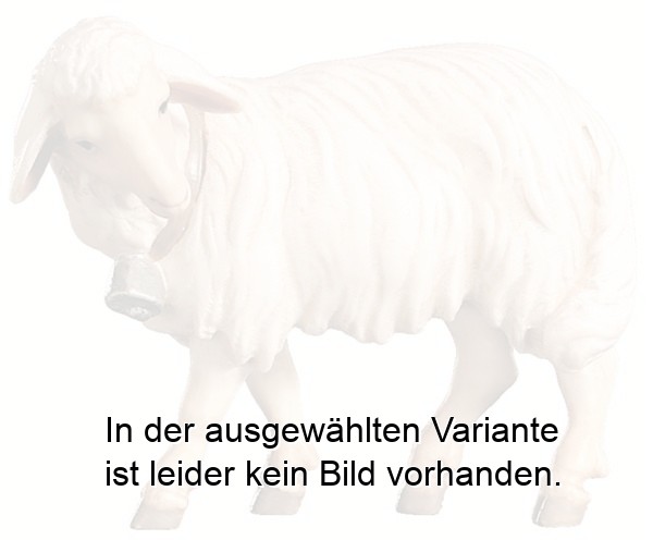 Schaf mit Glocke orientalisch