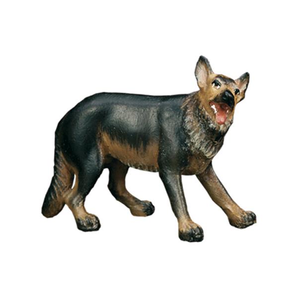 Schäferhund Schäferhund