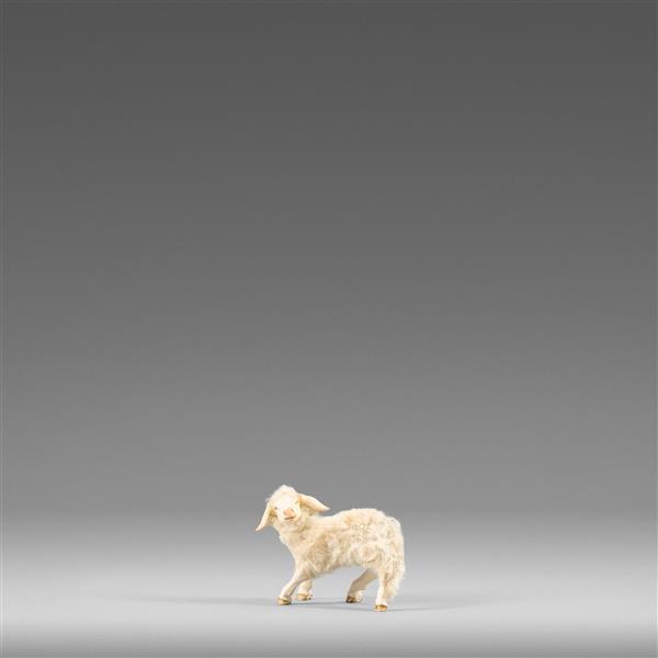 Lamm links schauend mit Wolle beige