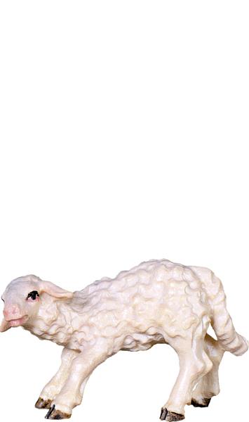 Lamm saugend