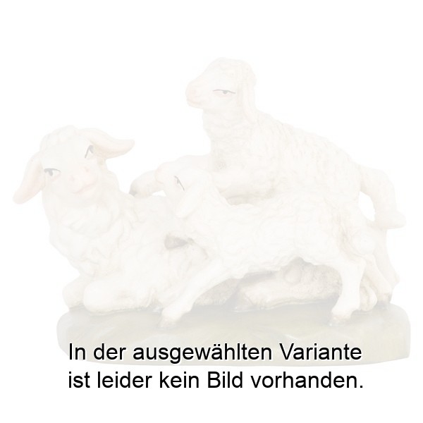 Schaf mit Lämmer