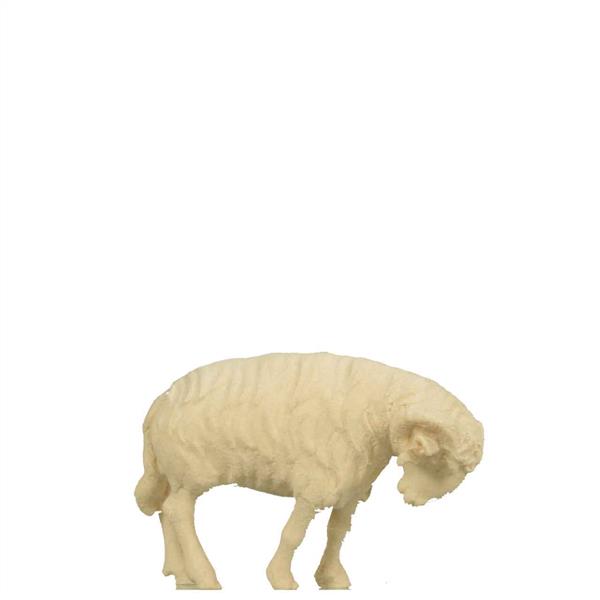 Schafbock schwarz Schafbock schwarz