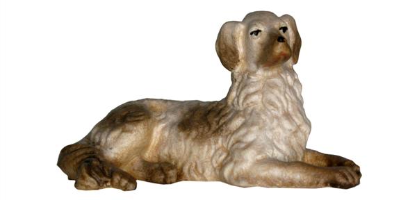 Liegender Hund