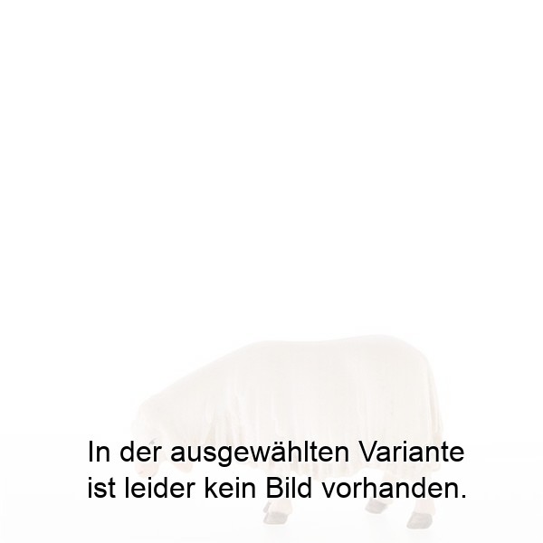 Schnupperndes Schaf