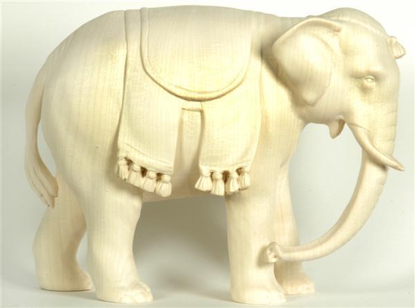 Elefant