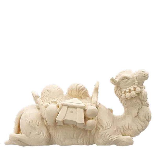 Kamel liegend Kamel liegend